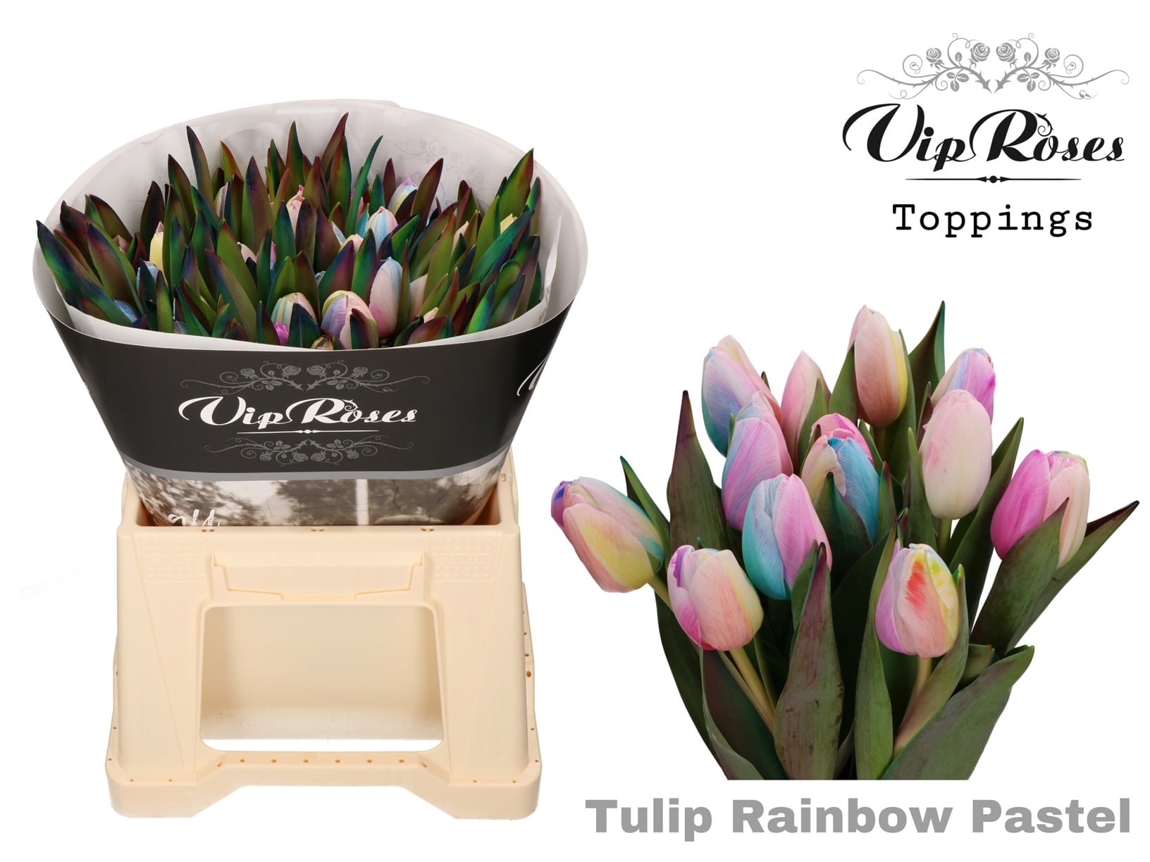 Vip Tulips Vip Roses